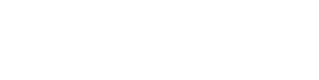 Skopik & Lohn